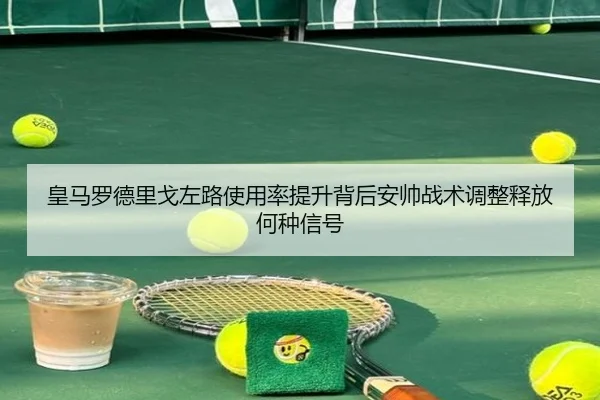 皇马罗德里戈左路使用率提升背后安帅战术调整释放何种信号