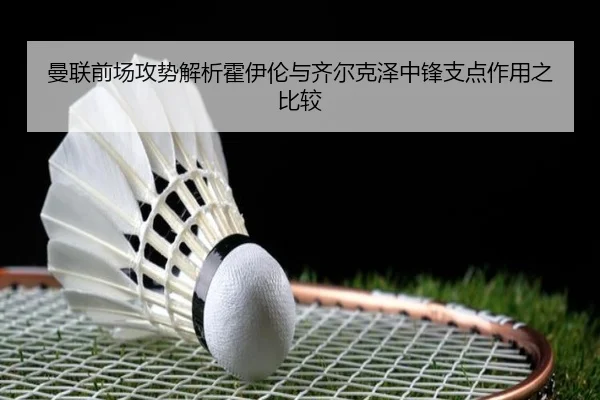 img_1782748357869_2031_1_250.jpg